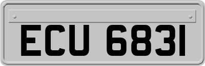 ECU6831