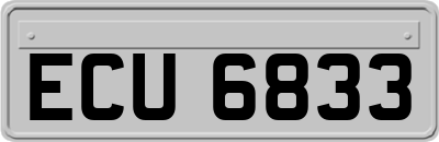 ECU6833