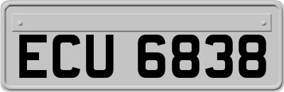 ECU6838
