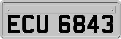 ECU6843
