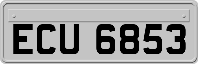 ECU6853