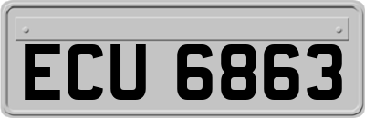 ECU6863