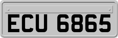ECU6865