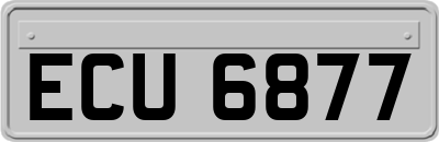 ECU6877