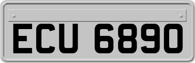 ECU6890