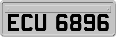 ECU6896