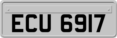 ECU6917