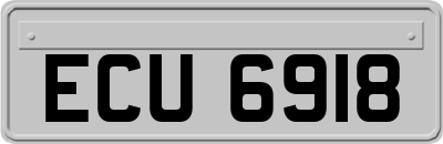 ECU6918