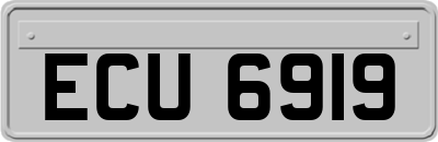 ECU6919