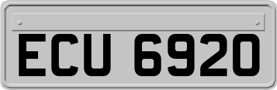 ECU6920