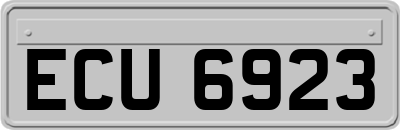 ECU6923