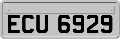 ECU6929