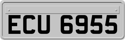 ECU6955