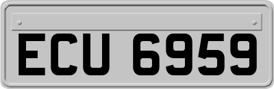 ECU6959