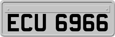 ECU6966