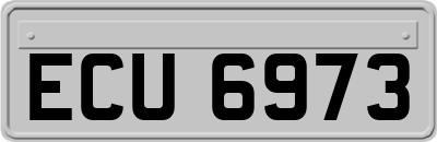 ECU6973