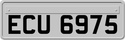 ECU6975