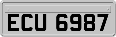 ECU6987