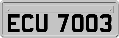 ECU7003