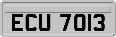 ECU7013