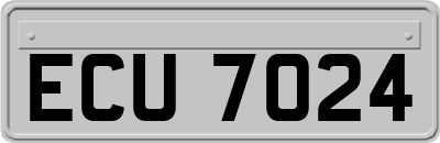 ECU7024