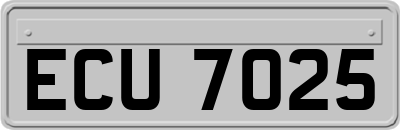 ECU7025