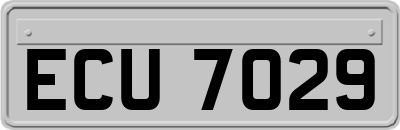 ECU7029