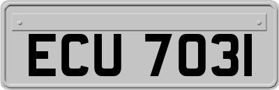 ECU7031