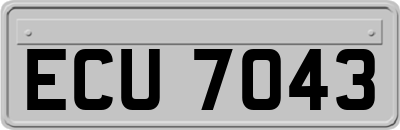 ECU7043
