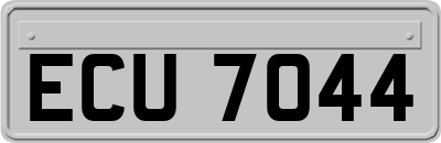 ECU7044