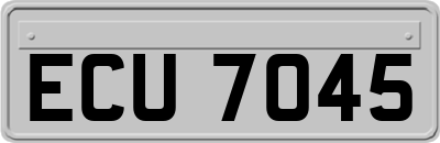 ECU7045