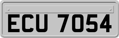 ECU7054