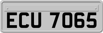 ECU7065