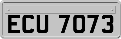 ECU7073