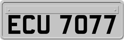 ECU7077