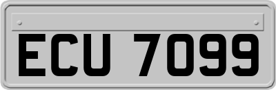 ECU7099