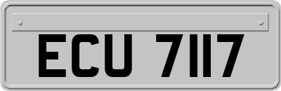 ECU7117