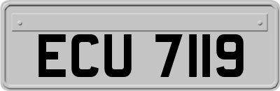 ECU7119