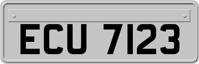 ECU7123