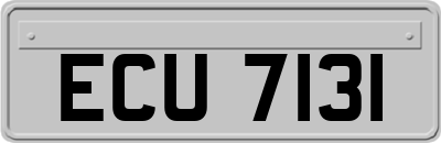ECU7131