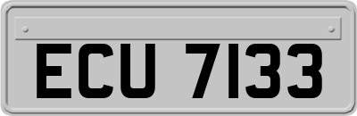 ECU7133