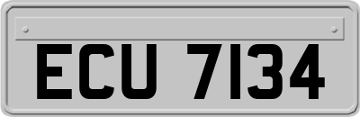 ECU7134