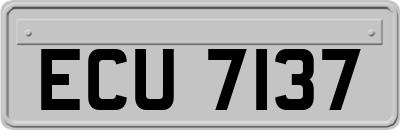 ECU7137