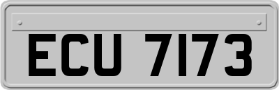 ECU7173
