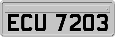 ECU7203