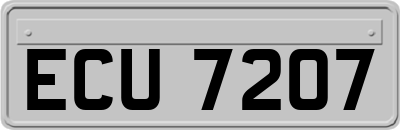 ECU7207