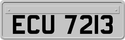 ECU7213