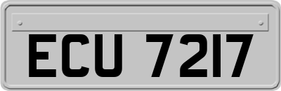 ECU7217