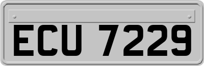 ECU7229
