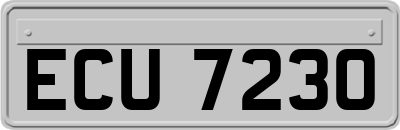 ECU7230